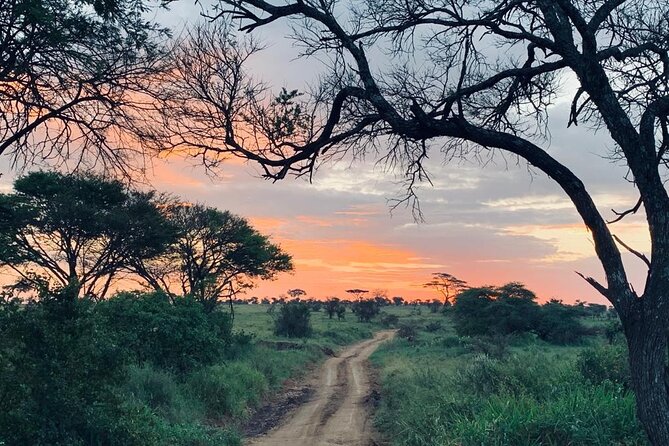 04 Days Tarangire, Serengeti and Ngorongoro crater group (Camping - Day 2 Serengeti via Naabi Hills: Full-Day Motion and a Sunset Camp Dinner