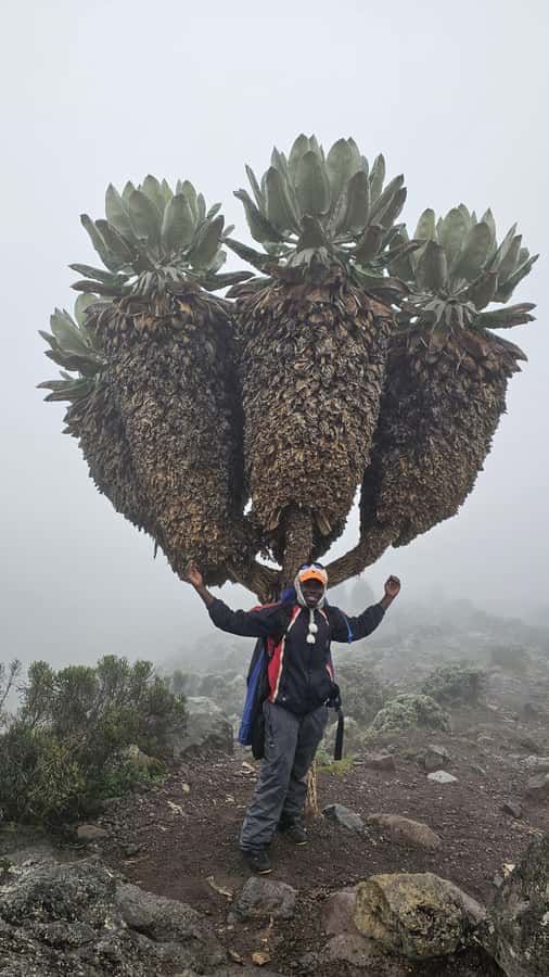 #1. Best Kilimanjaro Day hike Tour-Machame Route-ISMANI - Lunch box, water, and what to pack so the day stays comfortable