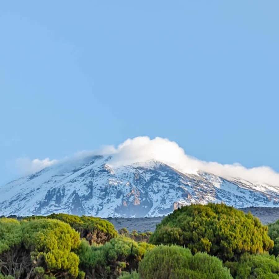 #1. Best Kilimanjaro Day hike Tour-Machame Route-ISMANI - Getting there: Moshi transfers, Arusha pickup, and the full-day rhythm