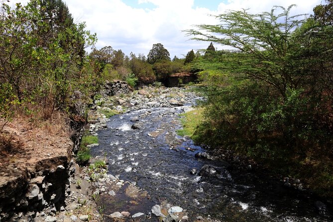 1 Day Arusha national park (Game drive and walking safari). - Why Arusha National Park Fits a Short Trip