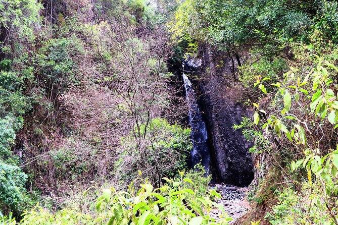 1 Day Arusha national park (Game drive and walking safari). - Arusha National Park’s Highlights You’ll Actually Appreciate