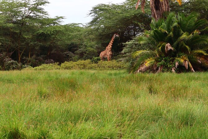 1 Day Arusha national park (Game drive and walking safari). - Pricing and Value: Is $450 Worth It?