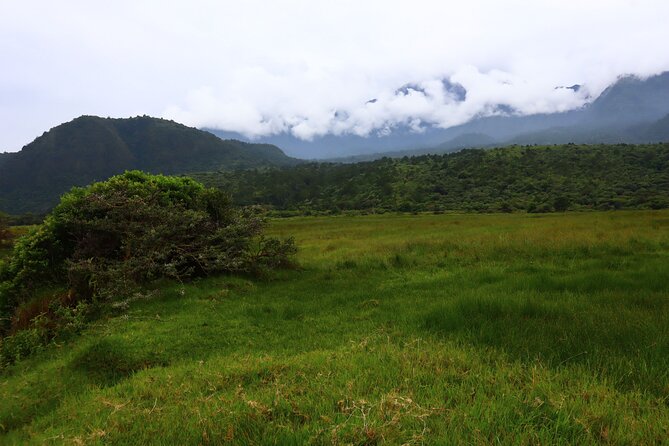 1 Day Arusha national park (Game drive and walking safari). - Guide Quality: Why Names Like Ombeni and Warren Matter
