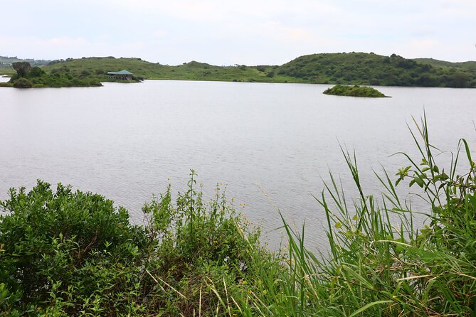 1 Day Arusha national park (Game drive and walking safari). - What Animals You Should Expect to See