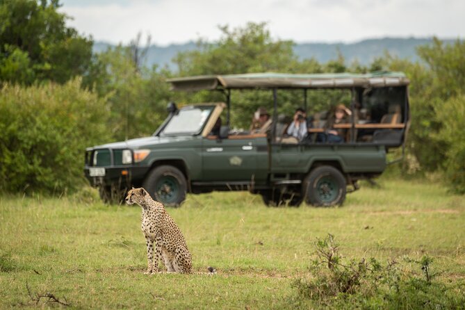 1-Day Fly in Shared Safari to Mikumi National Park from Zanzibar - Inside Mikumi National Park, What Your Jeep Safari Looks Like