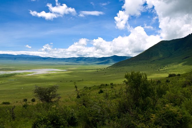 1 Day Joined Group Safari in Ngorongoro Crater National Park - Why Ngorongoro Crater Works as a One-Day Safari