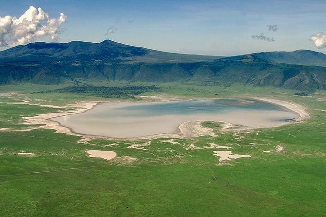 1 Day Joined Group Safari in Ngorongoro Crater National Park - The Maasai Culture Add-On: Arusha Village Experience and Maasai Bomas