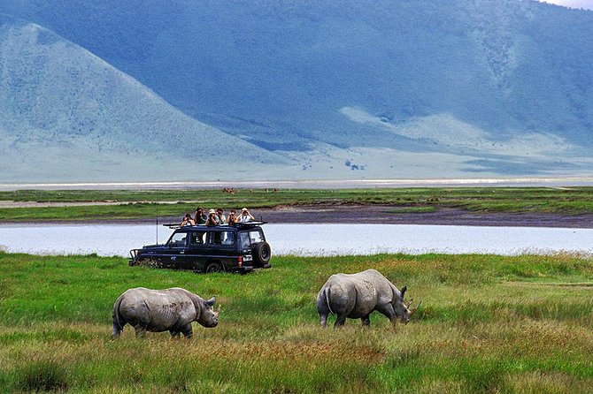 1 Day Joined Group Safari in Ngorongoro Crater National Park - Price and Value for a $317.95 One-Day Safari