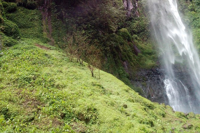 1 Day Kilimanjaro forest (mambori waterfalls). - Chief Meli, local meaning, and why stories improve a hike