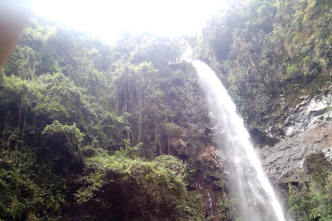 1 Day Kilimanjaro forest (mambori waterfalls). - Lunch on the trail: comfort that keeps you going
