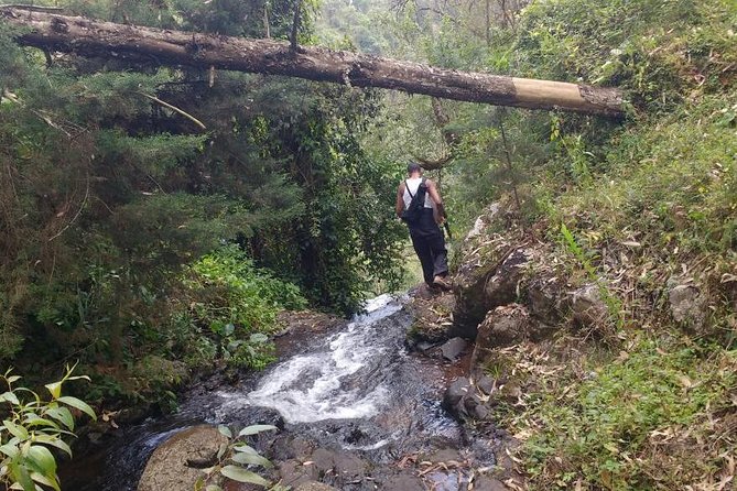 1 Day Kilimanjaro forest (mambori waterfalls). - What to expect at Mambori Waterfall (and how to enjoy it)