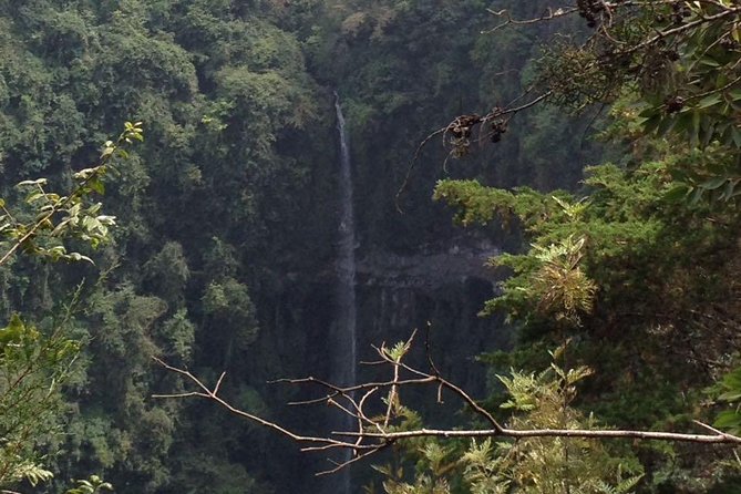 1 Day Kilimanjaro forest (mambori waterfalls). - Price and what $160 buys you (besides a ticket)