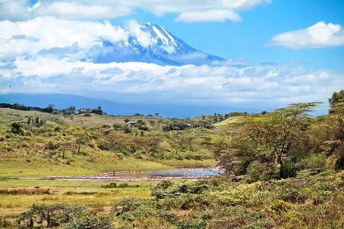 1 Day Kilimanjaro Hiking - Machame Route - Meals, transport, and a small group rhythm (max 6)