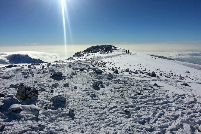 1 Day Kilimanjaro Hiking - Machame Route - Price and value: $250 for a guided summit-style day
