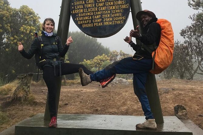 1 Day Kilimanjaro Hiking - Machame Route - Start at 7:00 am: pickup, drive, and Machame Gate timing