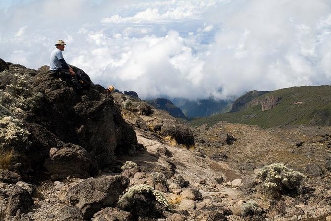 1 Day Marangu Route Climbing Kilimanjaro - Quick highlights