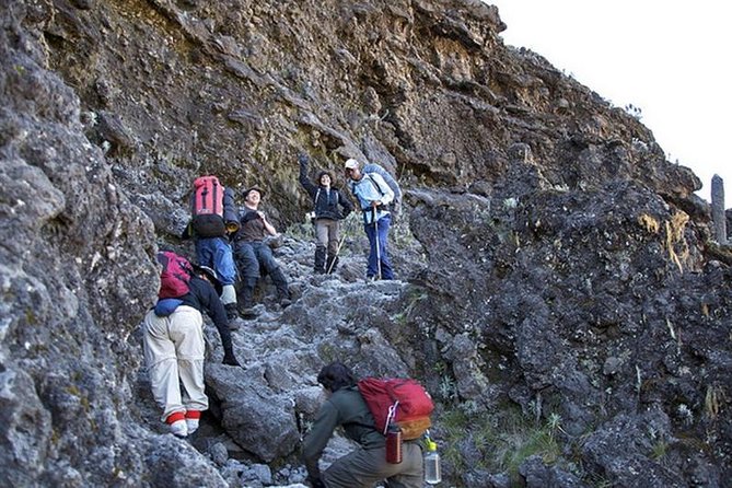 1 Day Marangu Route Climbing Kilimanjaro - Marangu Day Hike on Kilimanjaro: what you’re really signing up for