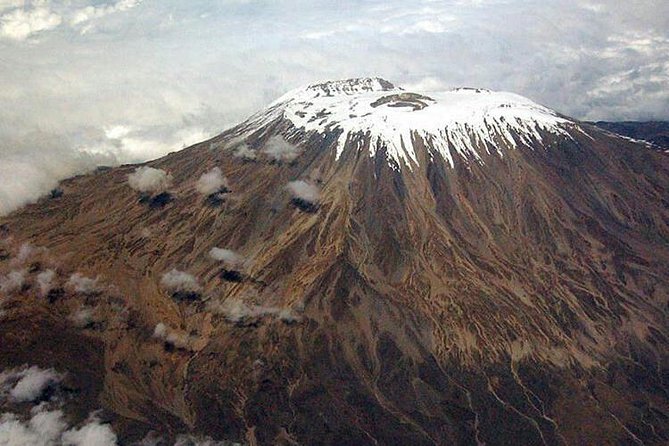 1 Day Marangu Route Climbing Kilimanjaro - From forest footpaths to Mandara Hut at 2,750 m