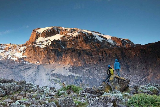 1 Day Marangu Route Climbing Kilimanjaro - Meeting the Big Three Peaks: Kibo, Mawenzi, and Shira