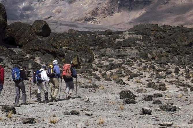 1 Day Marangu Route Climbing Kilimanjaro - Guides and communication: why Oscar, John, Lucas, and Mohamed matter