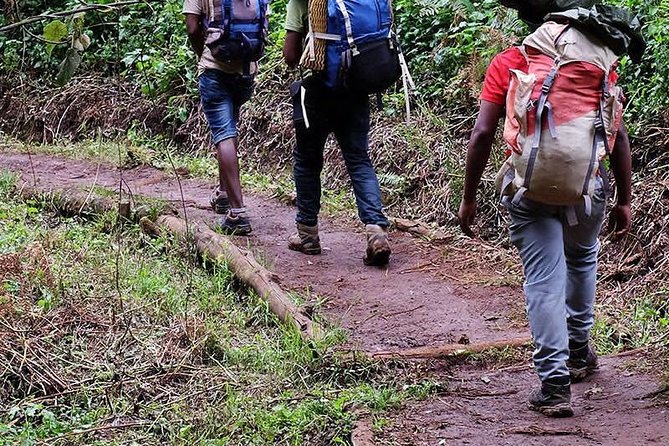 1 Day Marangu Route Climbing Kilimanjaro - Getting There from Arusha: the 7-seat 4x4 ride to the gate