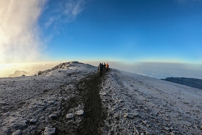 1 Day Marangu route trip up to Mandara Hut | Kilimanjaro hiking - Rainforest climb to Mandara Hut: what the 915 meters really means
