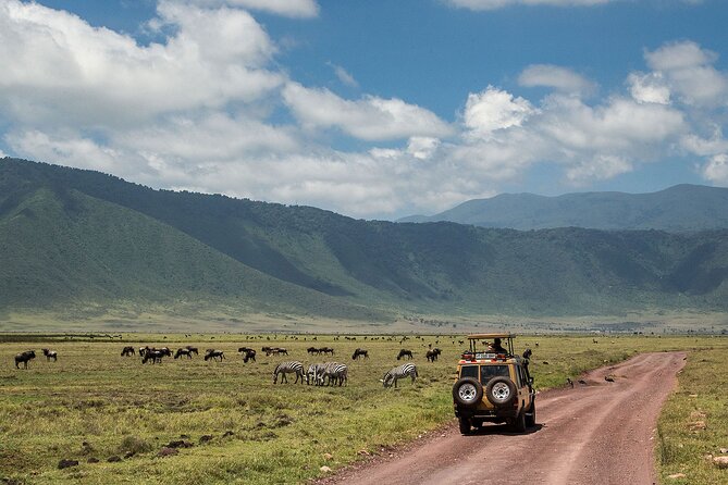 1 Day Ngorongoro Crater Group Jioning Safari - Guides, Briefing Style, and What You Gain From A Private Group