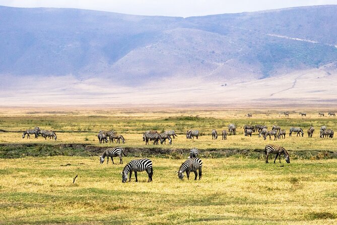 1 Day Ngorongoro Crater Group Jioning Safari - Practical Timing: A 6-Hour Day With A Full Safari Feel