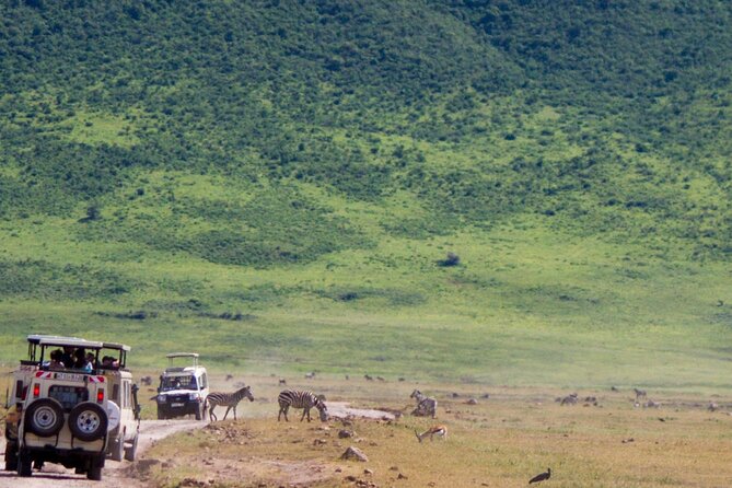 1 Day Ngorongoro Crater Group Jioning Safari - What This Safari Suits Best, and Who Should Skip It