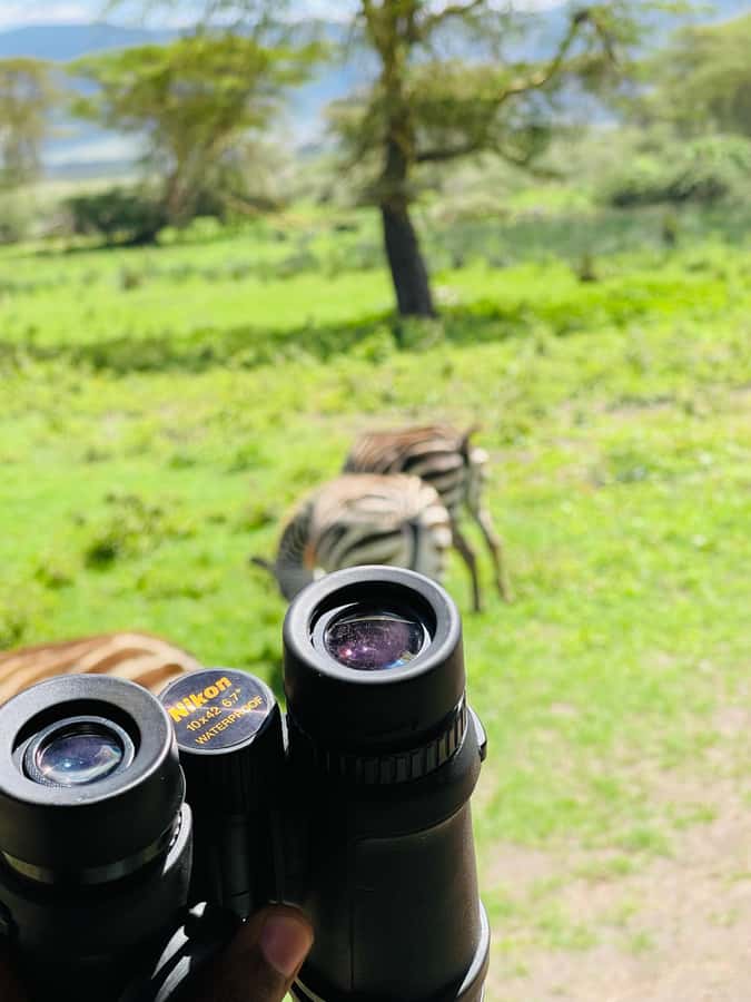 1 Day Ngorongoro Crater Group joining safari - Logistics, safety, and vehicle comfort to watch for