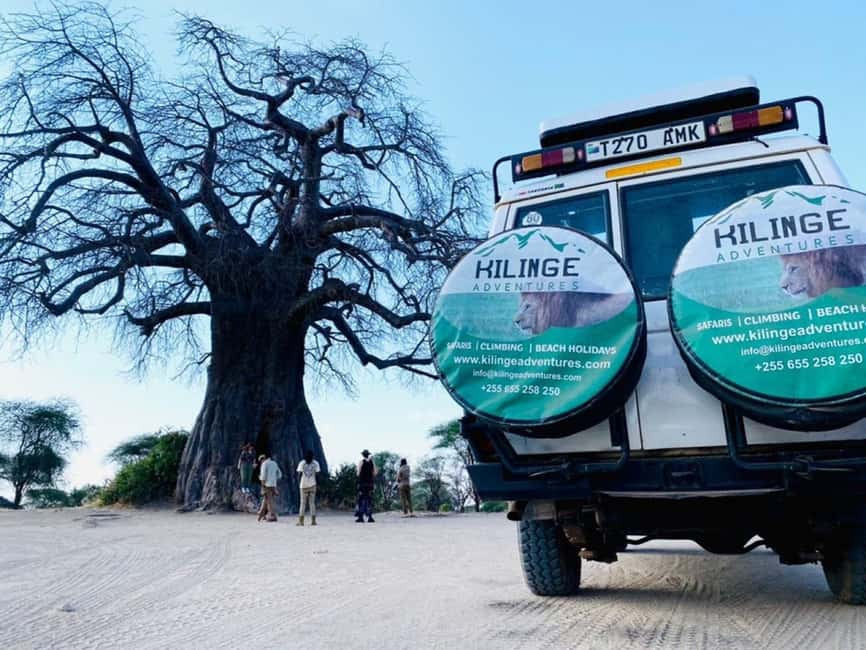 1-Day Ngorongoro Crater Special Big 5- Joining Group Safari - Key Highlights You’ll Care About