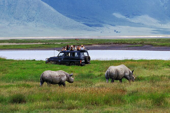 1 Day Private Ngorongoro Crater Safari - The long Arusha-to-Ngorongoro morning that sets expectations