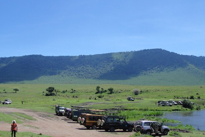 1 Day Private Ngorongoro Crater Safari - When the lion and hippo moments happen, and why they feel different
