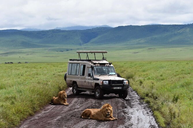 1 Day Private Ngorongoro Crater Safari - Your guide and vehicle time: what private really buys you