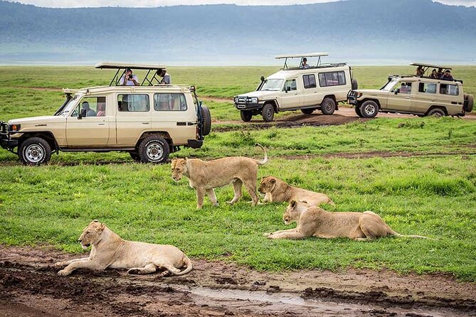 1 Day Private Ngorongoro Crater Safari - Lunch near the hippo pool: a real break built into the wildlife plan