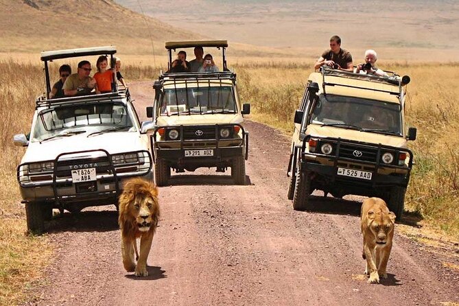 1 Day Private Ngorongoro Crater Safari - Price and value: what $565.18 is buying you
