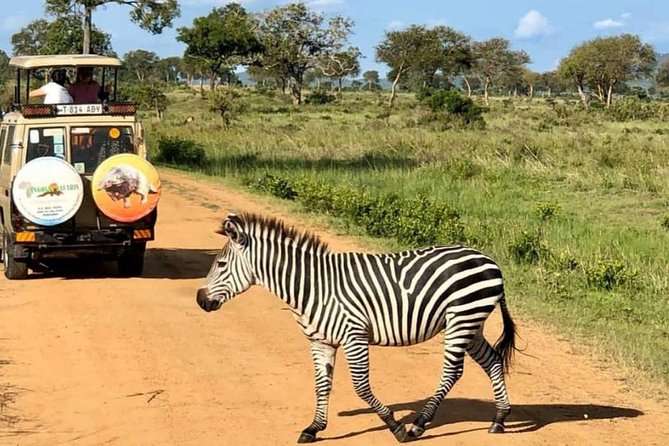1 Day Safari to Mikumi National Park - Leaving Dar es Salaam at 4:00am, then riding straight to Mikumi