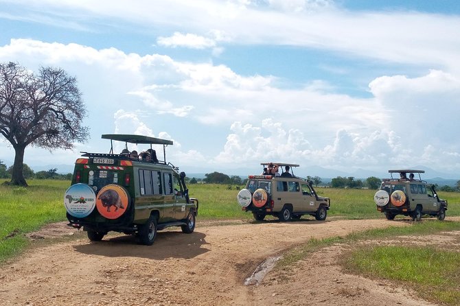 1 Day Safari to Mikumi National Park - Heading back to Dar es Salaam and syncing with late flights