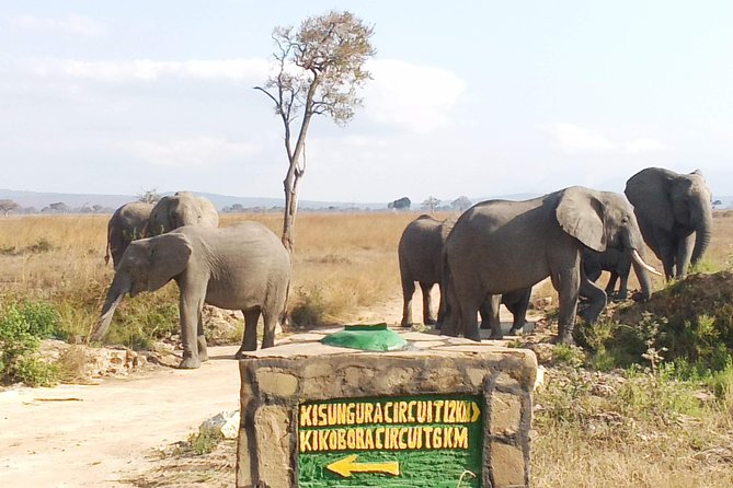 1 Day Safari to Mikumi National Park - My honest take: should you book this one-day Mikumi safari?