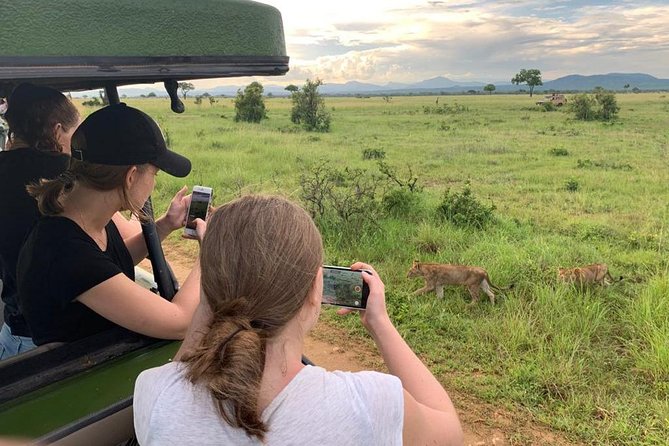 1 Day Safari to Mikumi National Park - Mikumi National Park in one day: what you can realistically expect