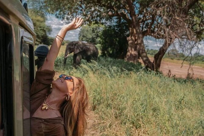 1. Day safaris to Mikumi by Train from dar es salaam - Dar es Salaam to Mikumi by train: why this route works