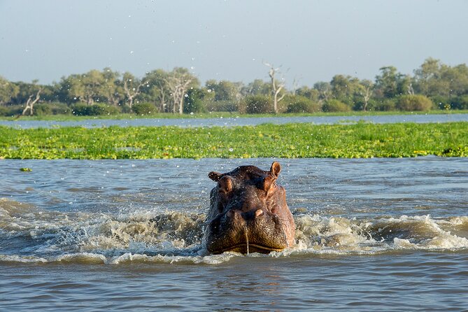 1-Day Selous (Nyerere National Park) Fly-In Safari from Zanzibar - Price and value: what $550 includes and where costs can sneak in