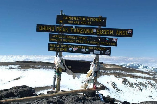 1 day tour hike mount kilimanjaro through marangu route - Lunch at Mandara hut: views, food, and a mental reset