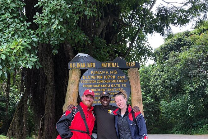 1 day tour hike mount kilimanjaro through marangu route - Guides and service: why operators like Taste Of Afrika matter