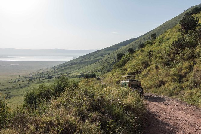 1-Day Tour to Ngorongoro Crater - Why Ngorongoro Crater is worth the early wake-up call