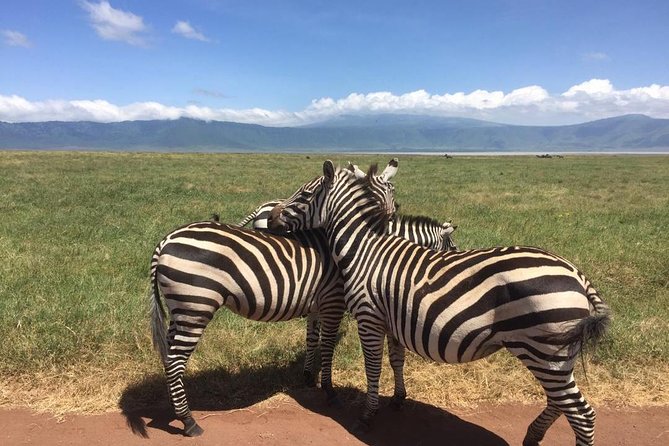 1 Daytrip Amazing to Ngorongoro Crater from Arusha or Moshi - Key highlights to know before you go
