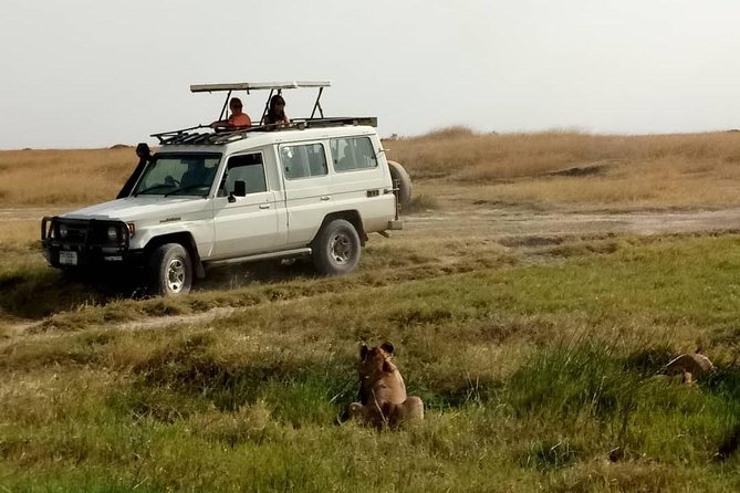 1 Daytrip Amazing to Ngorongoro Crater from Arusha or Moshi - Picnic lunch, bottled water, and how the day stays manageable