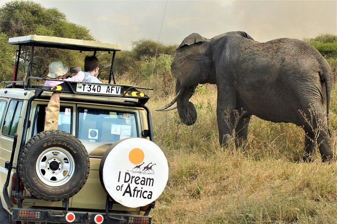10-Day Amazing Comfort Camping Safari - Ngorongoro Sunrise: Crater-Edge Camping and Optional Maasai Boma Time