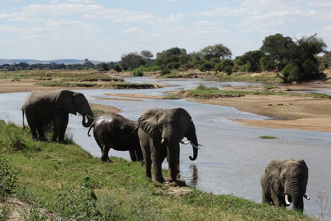 10 days Safari to Nyerere NP, Ruaha NP, Udzungwa NP and Mikumi NP + Isimila Site - Key highlights worth circling