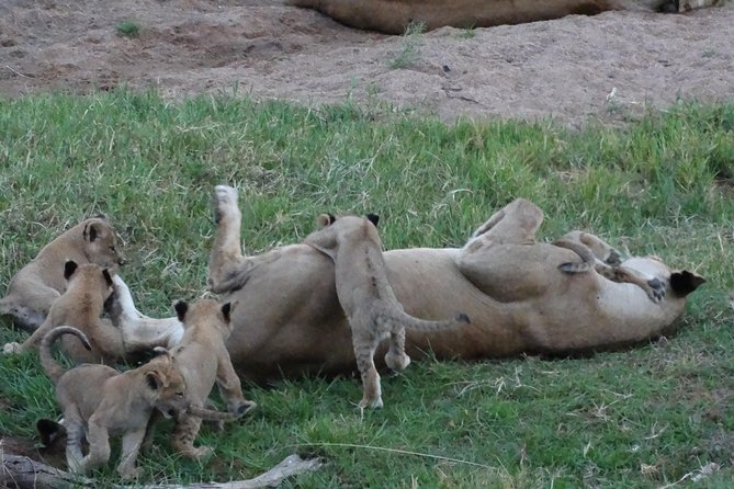 10 days Safari to Nyerere NP, Ruaha NP, Udzungwa NP and Mikumi NP + Isimila Site - FAQ